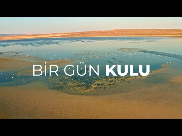 Altnekin Kulu Cihanbeyli Turu