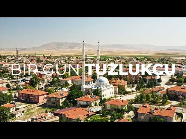 Tuzluku Yunan eltik Turu